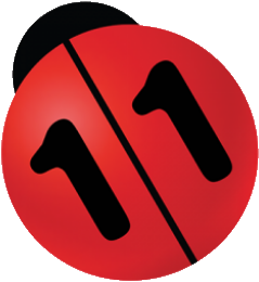 N11